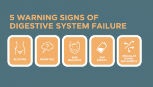 Infographic showing 5 warning signs your digestive system is stuck in a toxic backup cycle