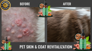 Visual comparison of dog skin health before and after using gut health probiotics like Pawbiotix.